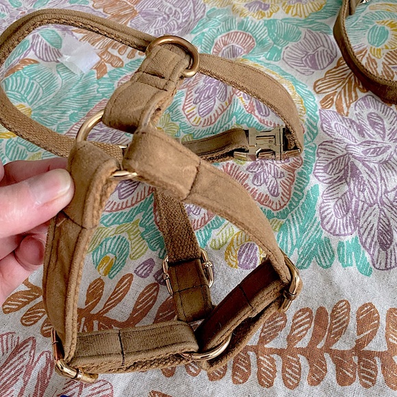 2 heavy dog harnesses. Great for frenchie, pug or any other stocky dog. EC.S & M - Picture 2 of 16